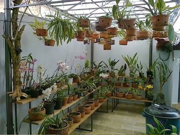 Tổng hợp hơn 22 bài viết: cách làm vườn lan mới nhất - lagroup.edu.vn