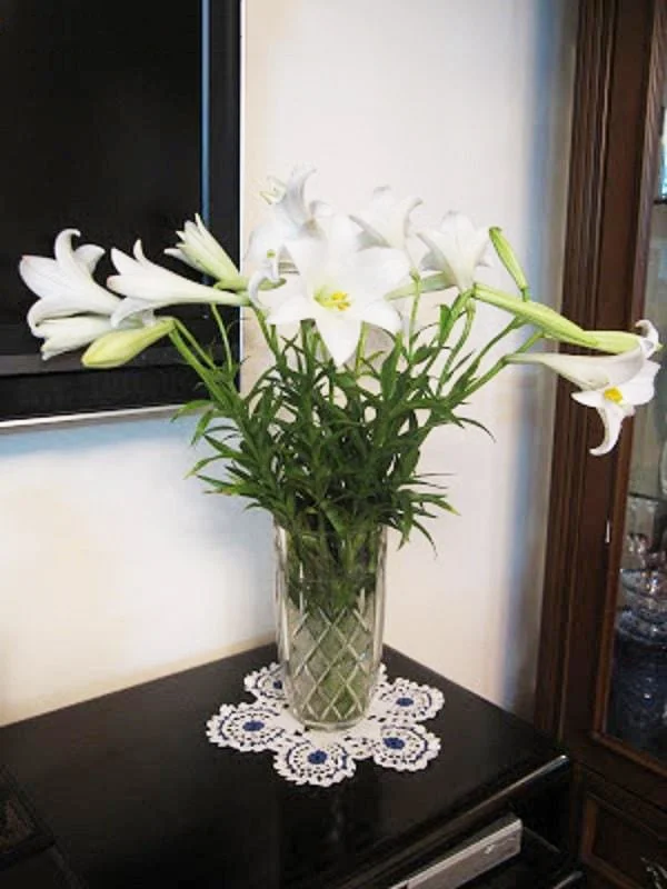 5 cách cắm hoa loa kèn đẹp dịu dàng đón tháng 4 về