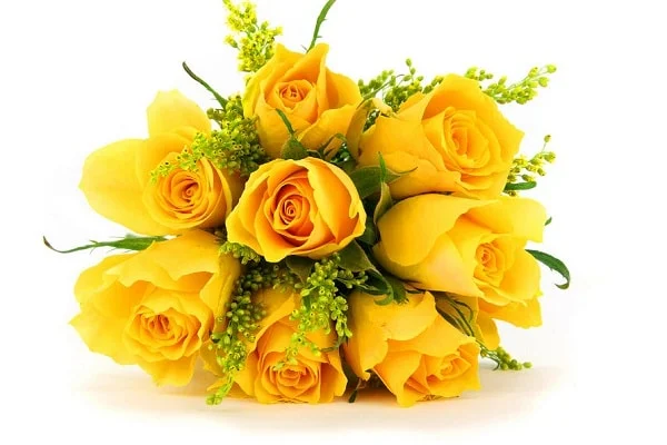 Hoa sinh nhật đẹp tặng bạn thân 299 mẫu hoa đẹp nhất