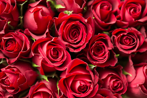 Trang trí phòng cưới bằng hoa hồng đẹp và lãng mạn
